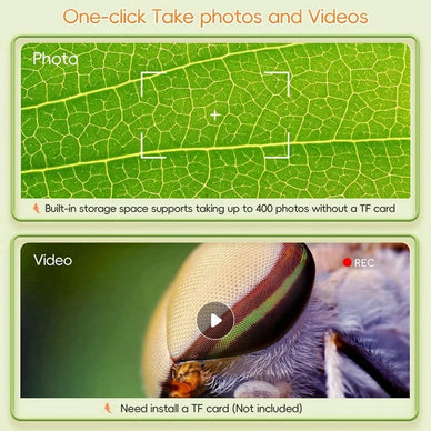 "Unlock a World of Discovery for Your Child"